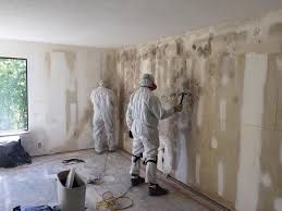 Best Mold Removal for HVAC Installations  in Eureka, MO